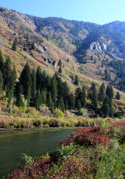 Utah Out Of Doors